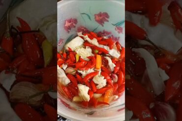 PIMENTA MALAGUETA COM VERDURAS #receitas #deliciasdacozinha #saboroso