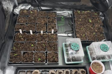 First Up-Potting Complete