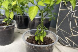 Why is this happening?