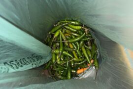 What should I do with this abundance of beautiful heat?