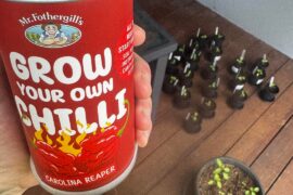 Anyone ever use this Carolina reaper grow kit? Thoughts?