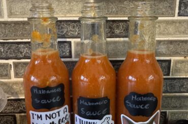 Finally busted out my frozen peppers to make hot sauce.