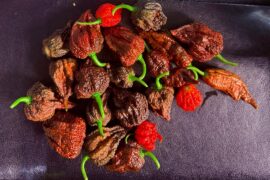 Indoor plants got busy with it while I was away