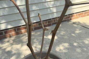 Are these ok?