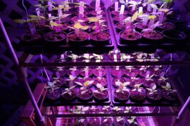 I have a question...