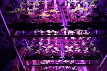 I have a question...