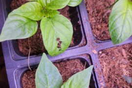 Can anyone tell me what this is and if I should be concerned?