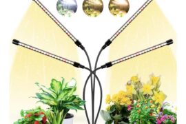 Grow light advice