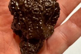 First Chocolate Reaper