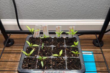 Day 23