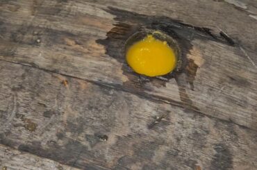 Rum Barrel filled with Hot Sauce - 6 weeks age