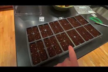 I made this video for a friend to demonstrate how I germinate my pepper seeds for the spring using a 10x20 tray, a 48-cell insert, and a humidity dome.