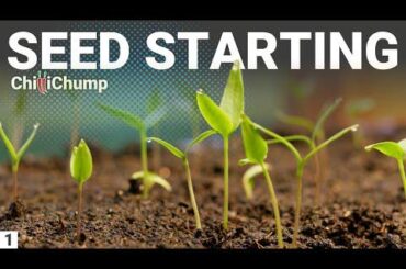 Peat trays aren't absorbing water