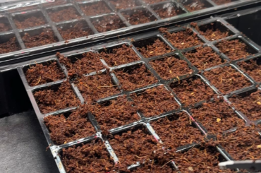 Kicked things off today !