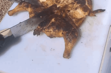 Pollo Asado / Grilled Chicken Out the front Yard in East Mesa AZ