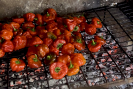 Hot Peppers on hot coals: how long do you leave them on