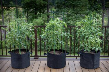 Planter bags?