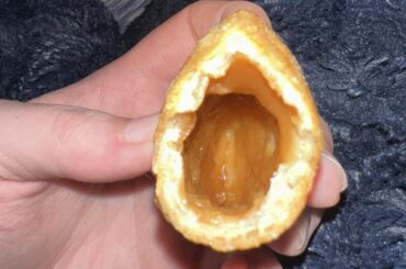 Empanadas filled with disappointment