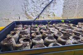 Why are these so rough looking?