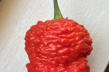 Any ID on this bad boy?