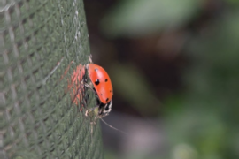 For Those Who Know the Struggle