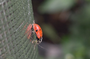 For Those Who Know the Struggle