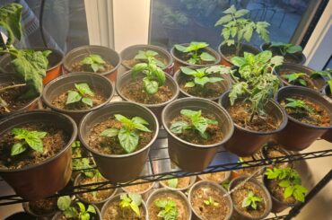 Hoping for some success this year