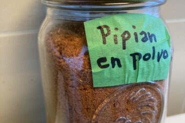 Pipian en polvo - what to do?