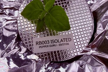 Babies leaving the Aerogardens