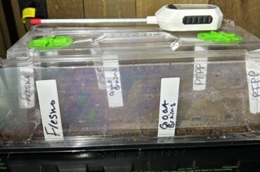 Y’all are giving me sprout FOMO for starting late.