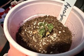 What am I doing wrong?