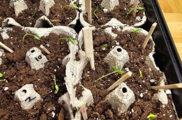 What am I doing wrong?