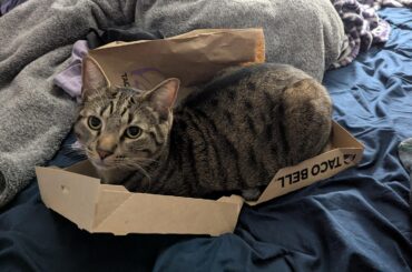 I got the wrong order. Should I keep?