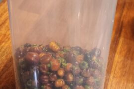 Final winter greenhouse harvest