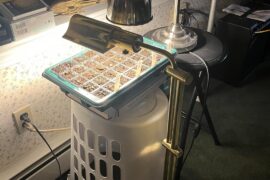 Will this light setup be alright?