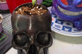 Pepper update on white ghost and purple ufo planting Bolivian rainbow today hopefully