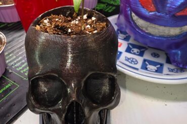 Pepper update on white ghost and purple ufo planting Bolivian rainbow today hopefully