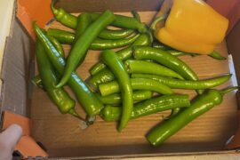 Lots of peppers- raw or roasted?