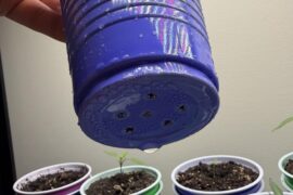 Is this enough for double cup drainage (bottom watering)