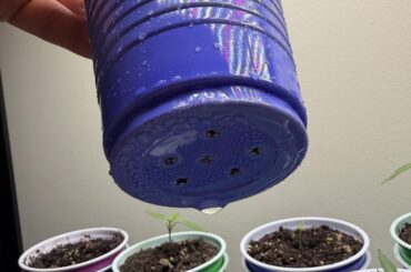 Is this enough for double cup drainage (bottom watering)