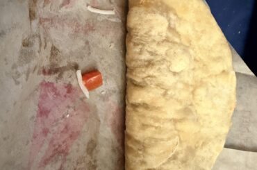 Weird looking chalupa