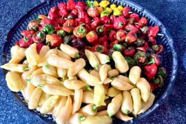 some from today’s pickings