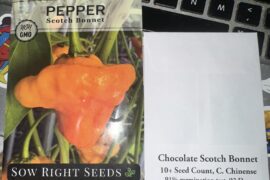 New pepper seeds to try