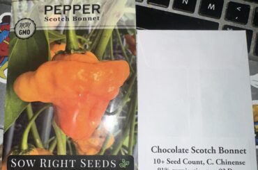 New pepper seeds to try