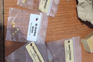 I think I got scammed by TexasHotPeppers.