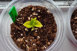 Need Help Again Please