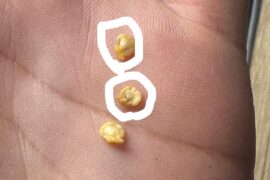 Dark spots on pepper seeds?