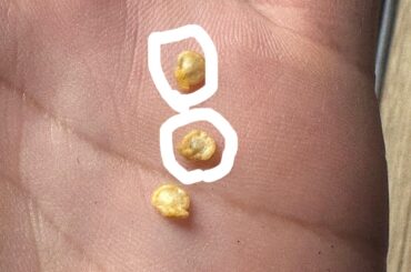 Dark spots on pepper seeds?