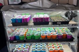 2026 is off and running!!