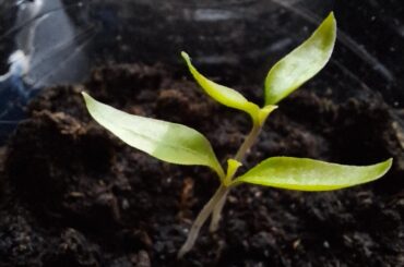 Whats wrong with my baby?